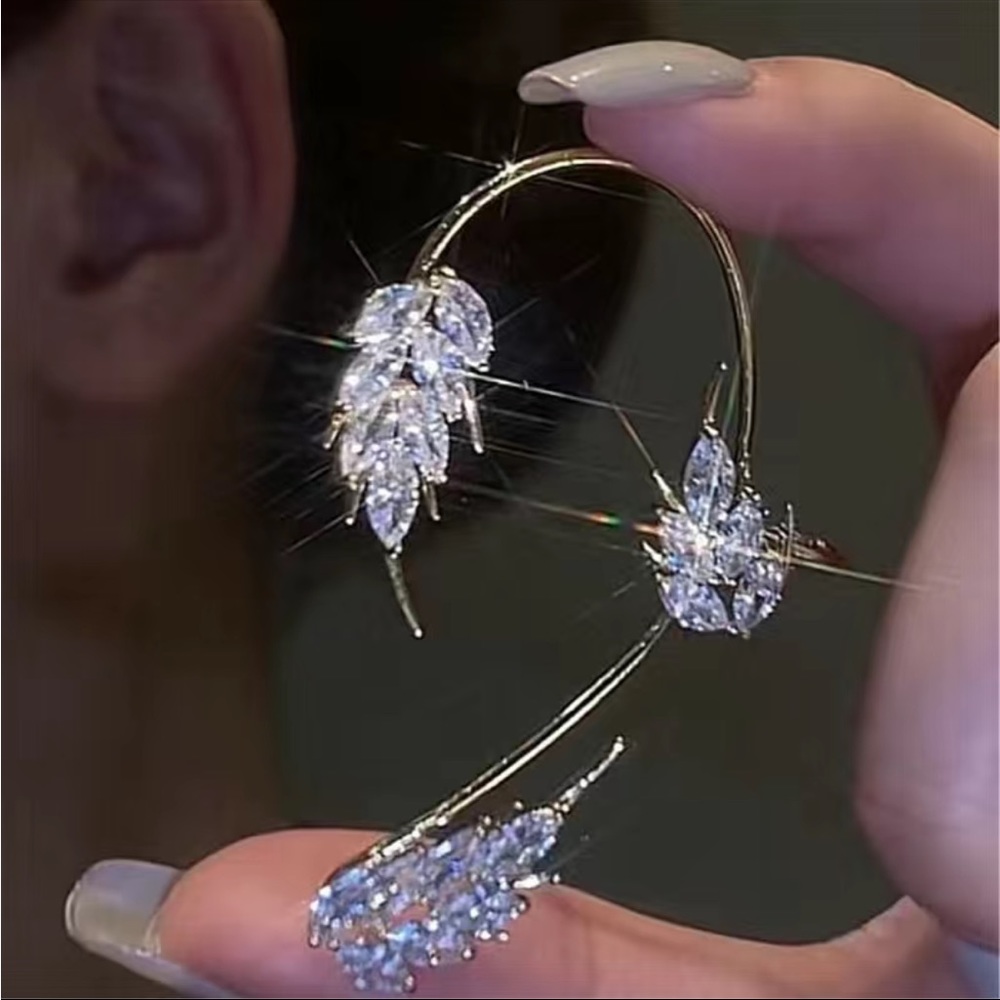 Earring Left Ear